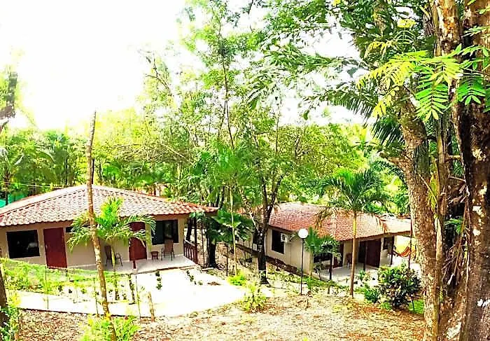 Hotel El Sueno Tropical