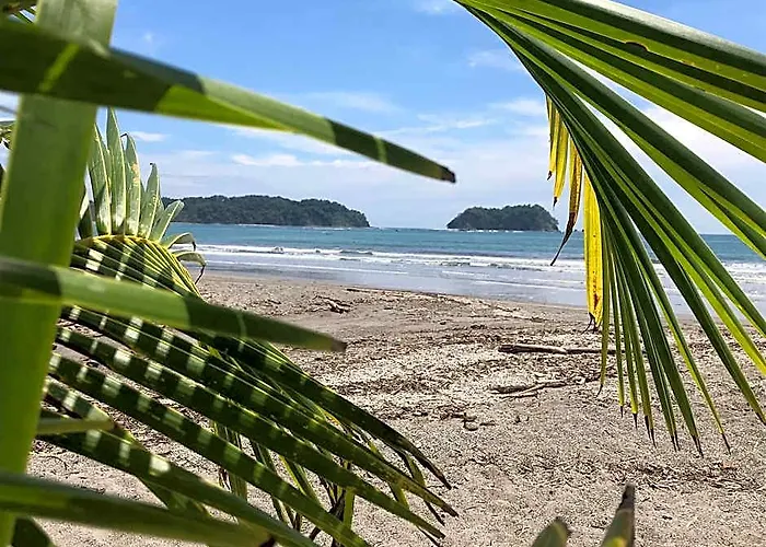 El Sueno Tropical